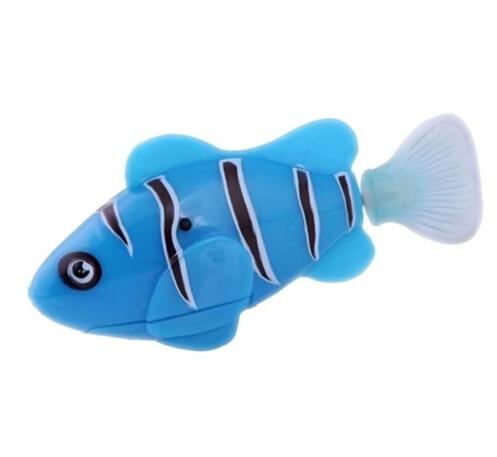 clownfish blue