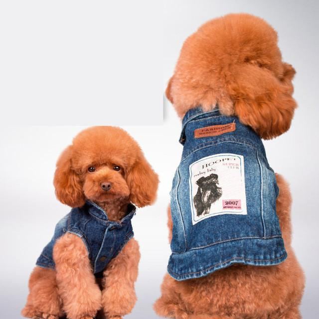 Blå Jean Sommer Denim Hundeklær