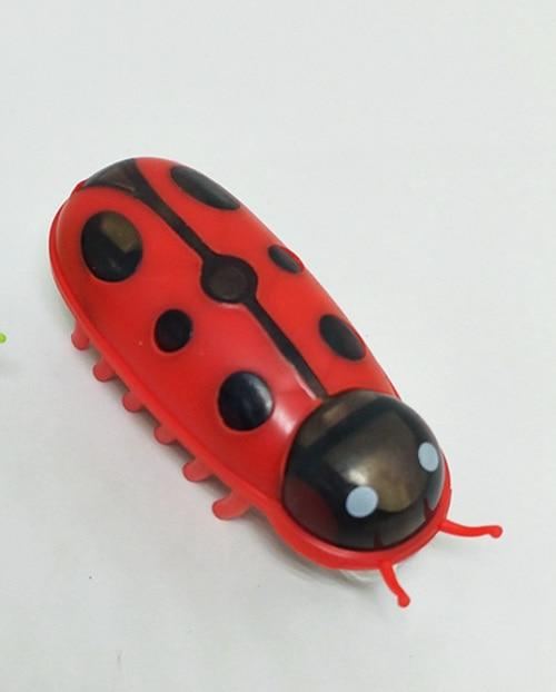 red ladybird