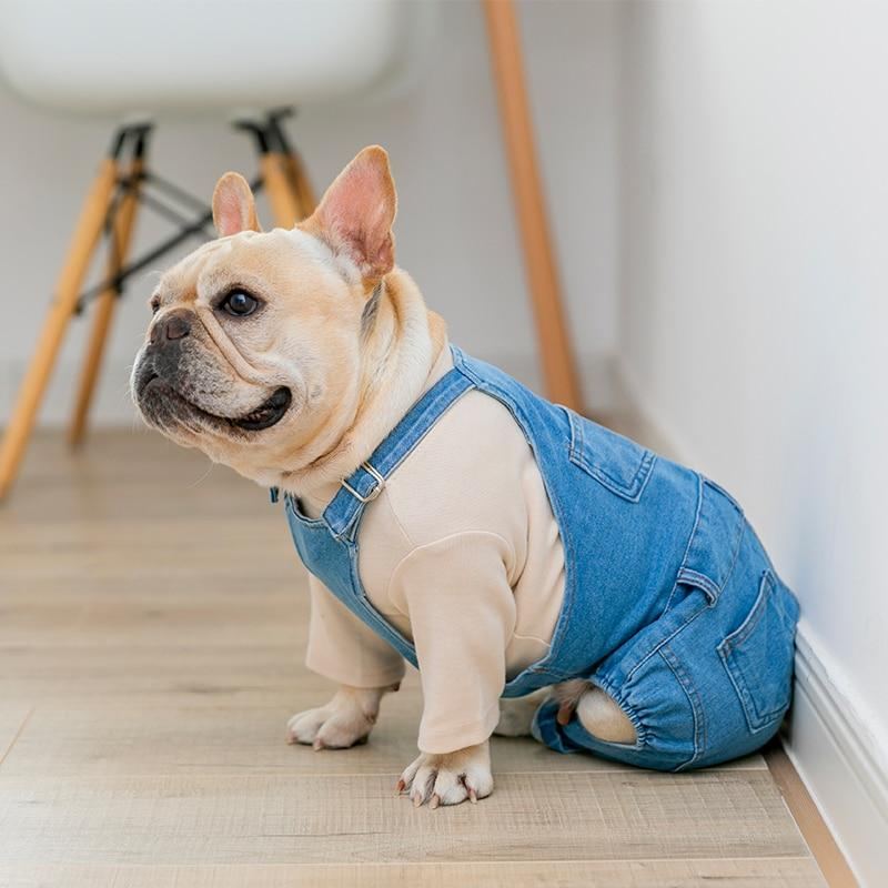 Denim For Hund