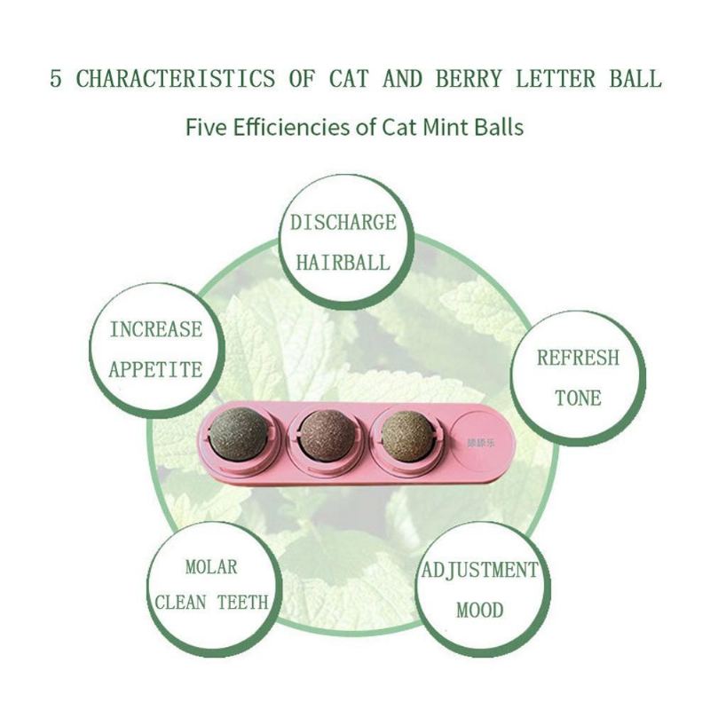 Kattemynte Molar Teething Ball Leketøy