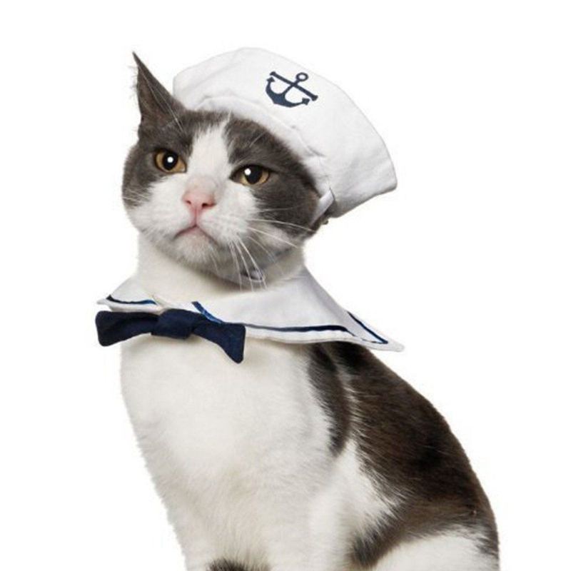 Katter Cosplay Sjømannskostyme