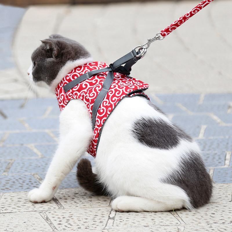 Kattvest Sele Og Båndsett