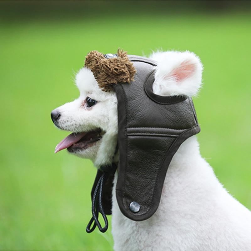 Pet Canvas Cap