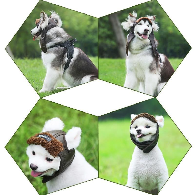 Pet Canvas Cap